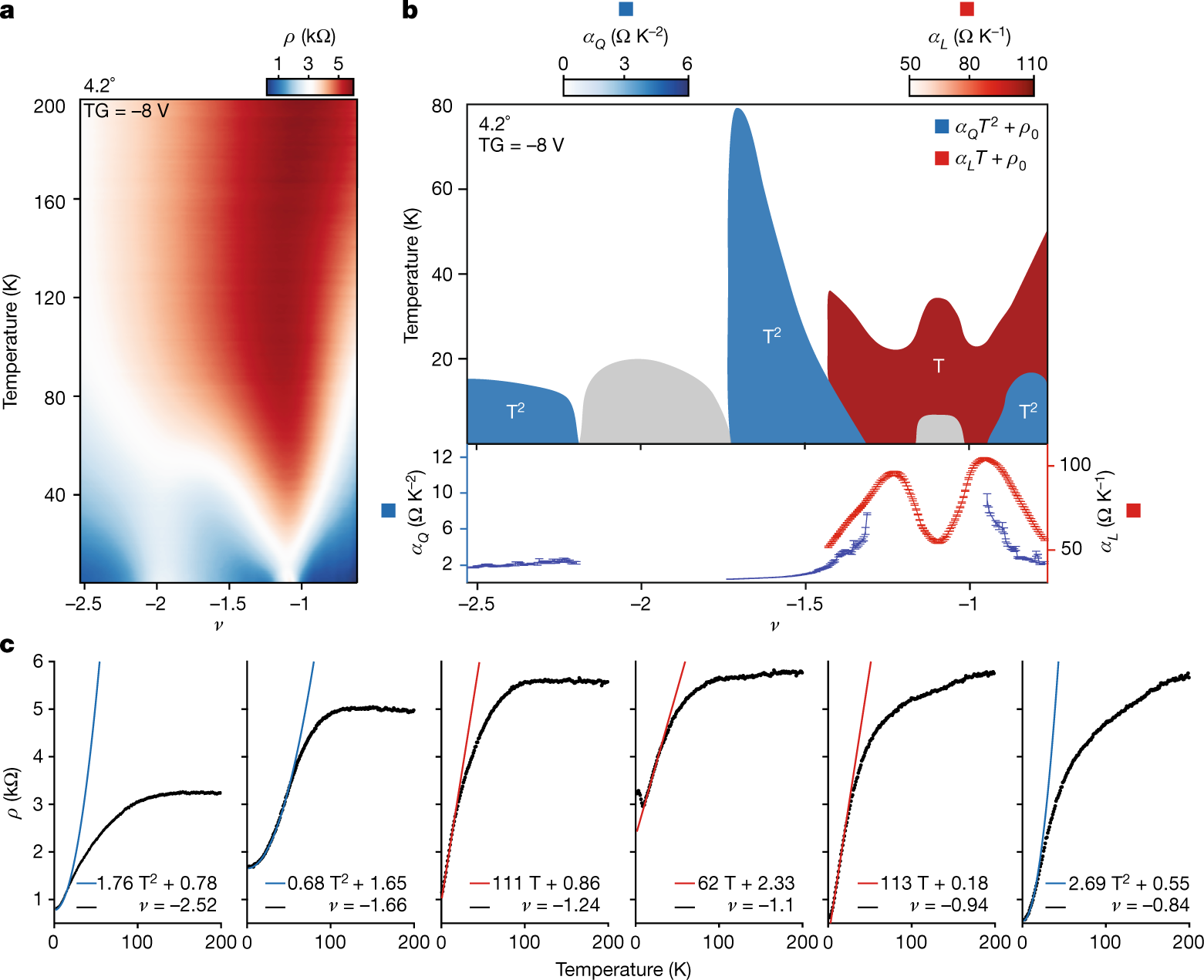 Quantum Criticality Fan in Twisted Tungsten Diselenide